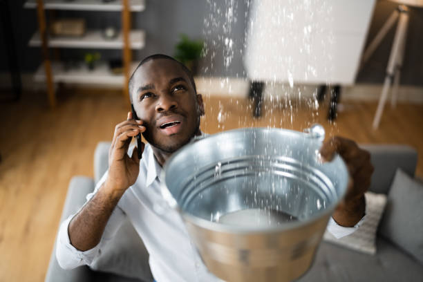 Trusted Water Damage Restoration in Alburtis, PA | Fast, Reliable, and Ready to Assist You